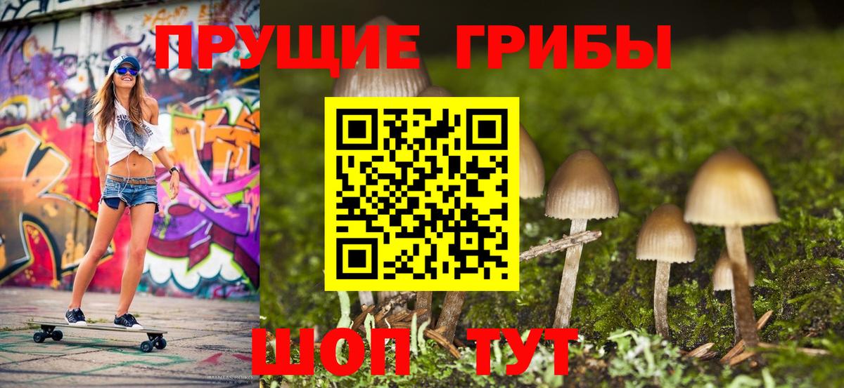 Заречный  даркнет сайт  Вход с VPN  Галлюциногенные грибы Psilocybe 